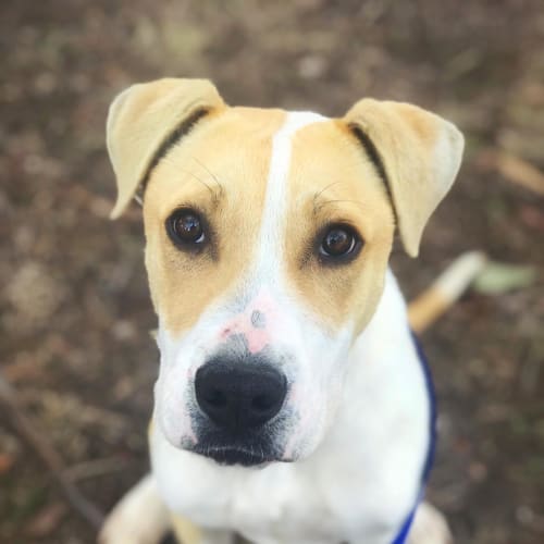 Max