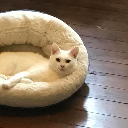Zoe
