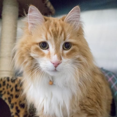 Fred