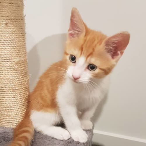 Fred 