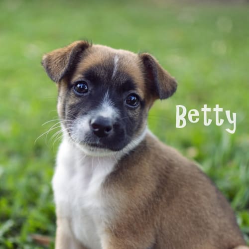 Betty