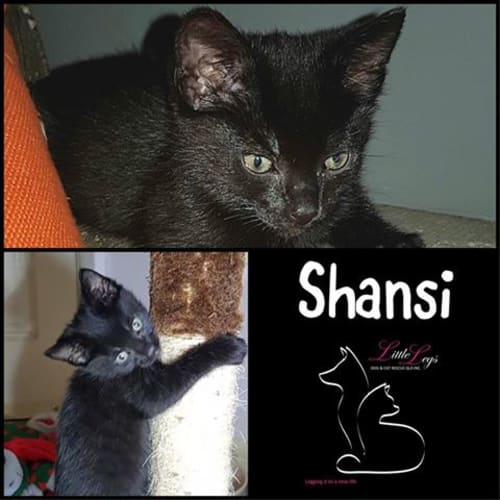 Shansi