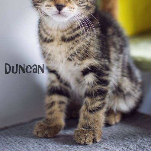 Duncan