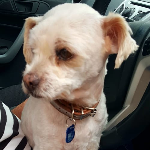 Sam