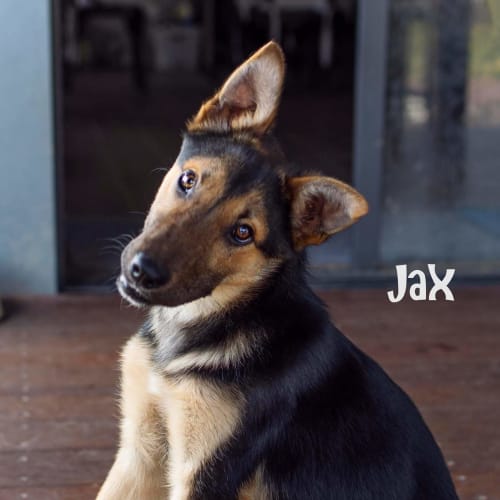 Jax