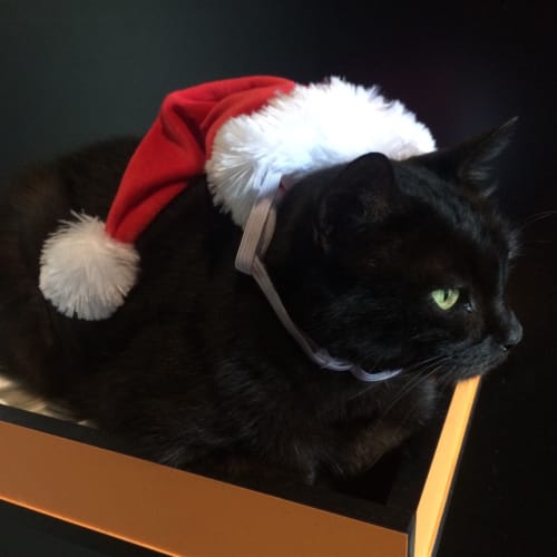 Missy