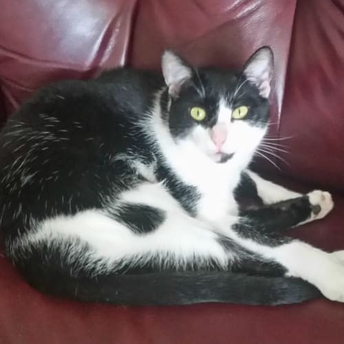 Slinky Malinki and Sticky Beak Syd