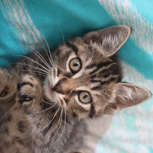 Cheekiness alert! 
