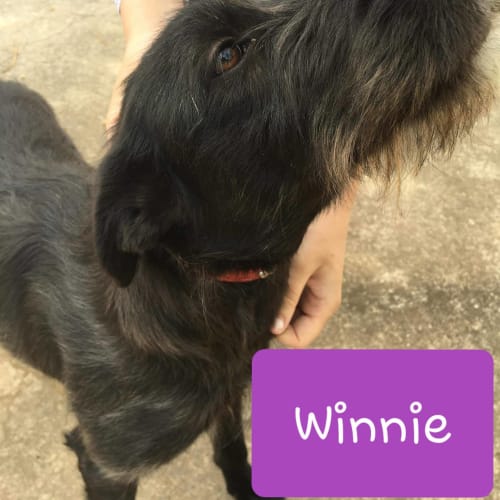 Winnie
