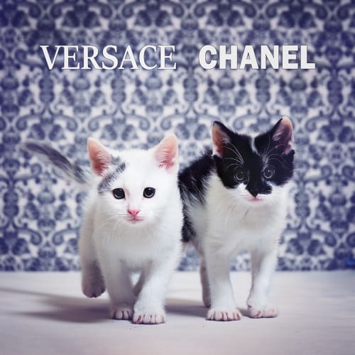 Versace & Chanel