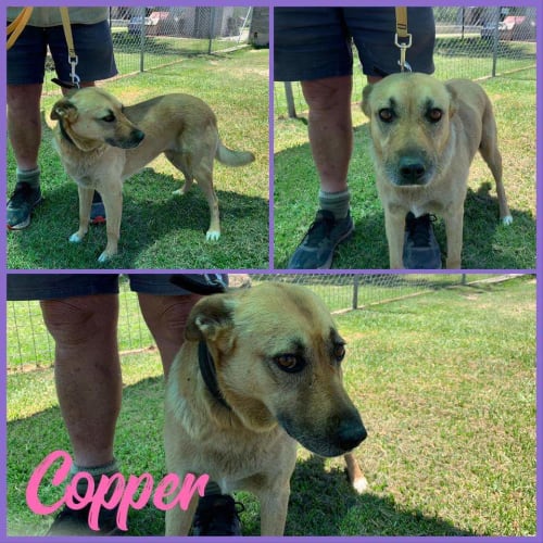 Copper