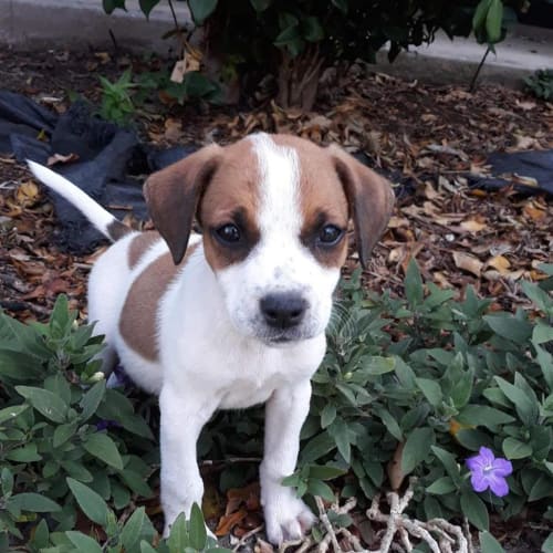 Matilda