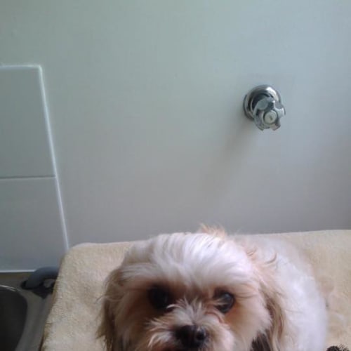 Molly