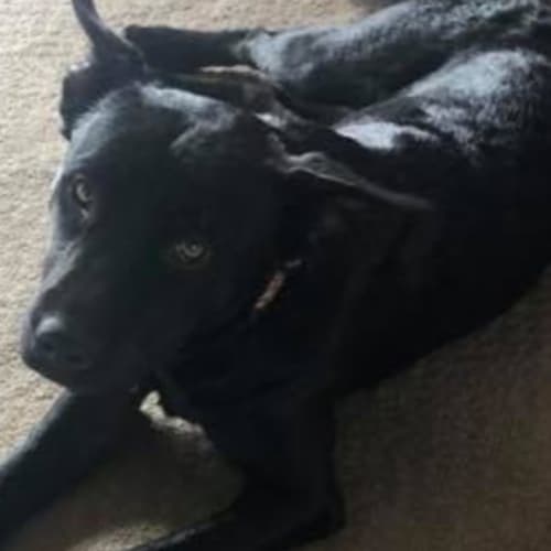 Effie