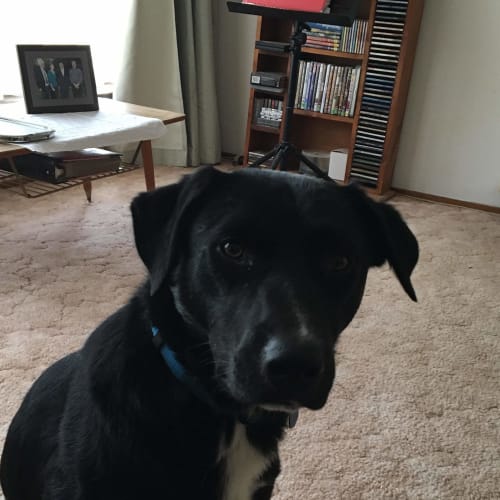 Max