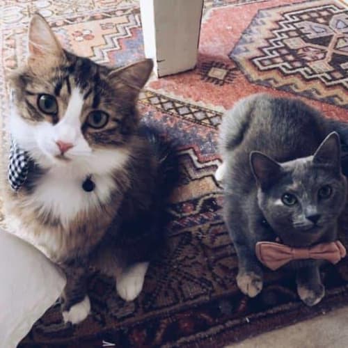 Millie and Misty