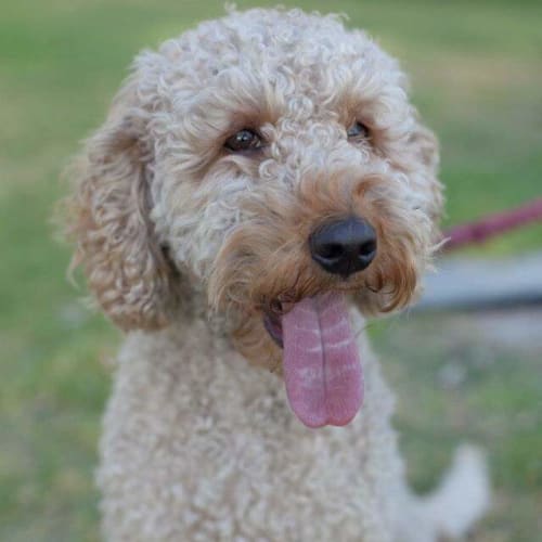 Ebba **On Trial With My New Family**