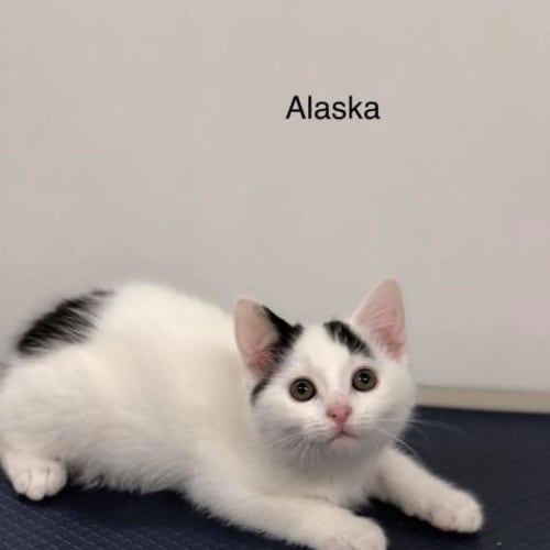 Alaska