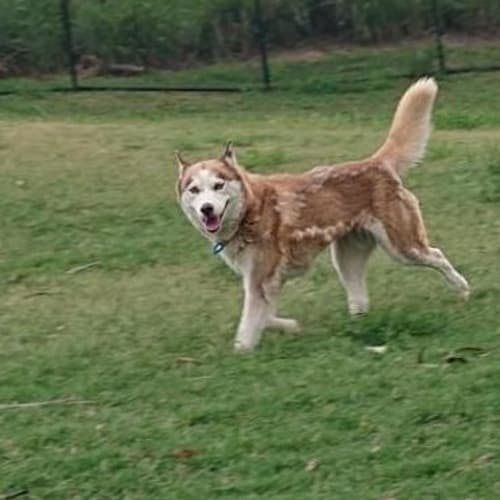 Keiko 