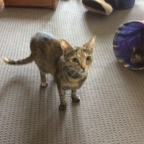 Lilian aka Lily