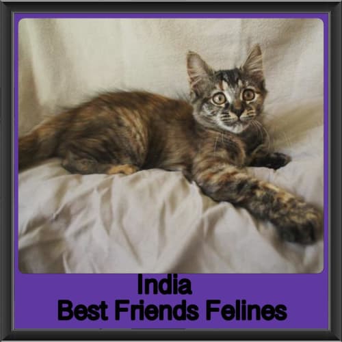 India