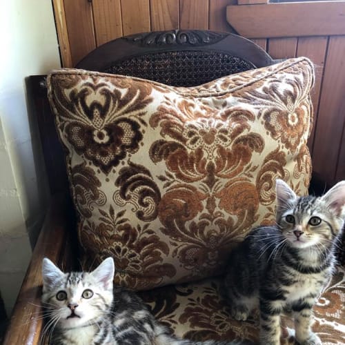 Marley & Saria