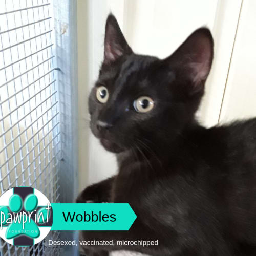 Wobbles