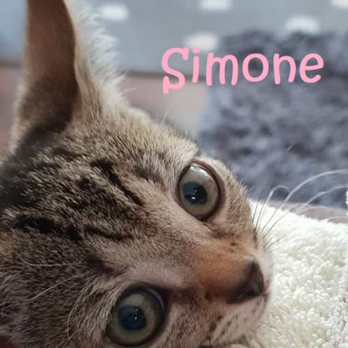 Simone
