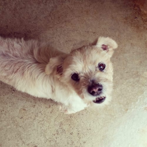 Razz  ** On trial **