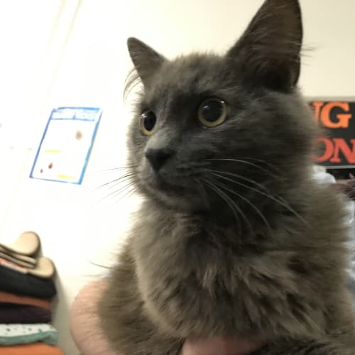 Ragnar