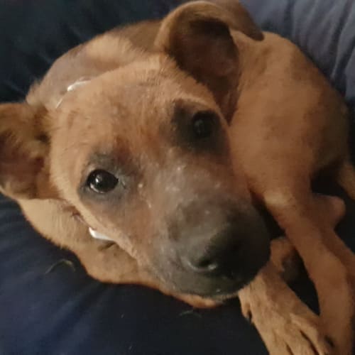 Zi (Zi'Na)  **On Trial **