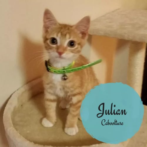 Julian
