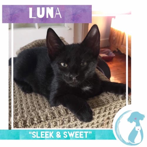 Luna