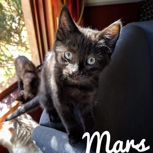 Mars