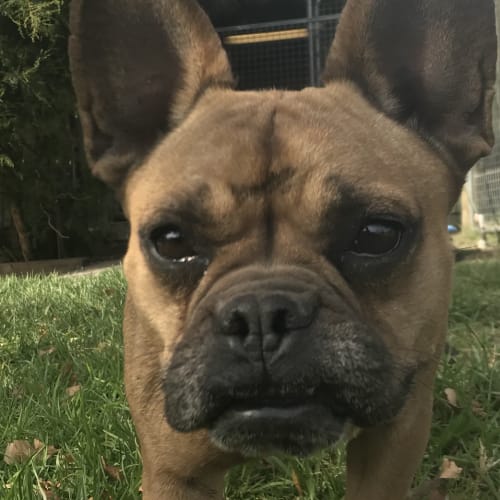  Ethel