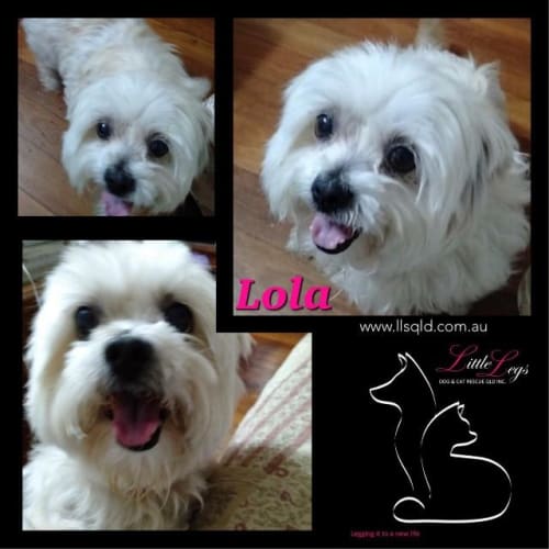 Lola
