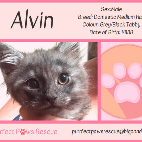 Alvin