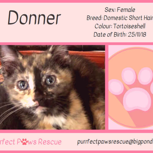 Donner