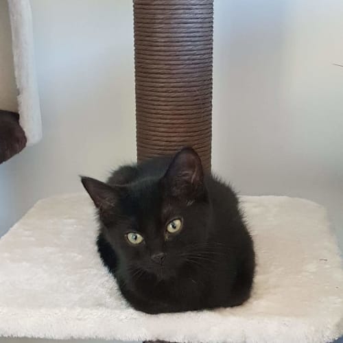 Matilda