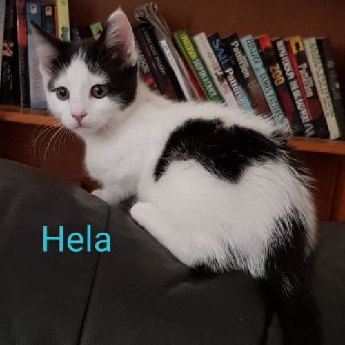 Hela