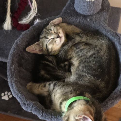 Rocky & Archie