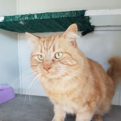 Rupert