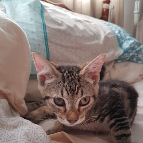 Chloe
