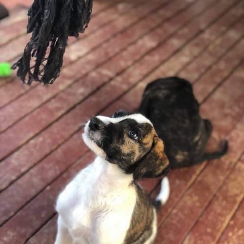 Max
