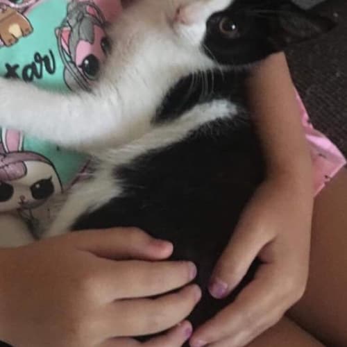 Adoption day