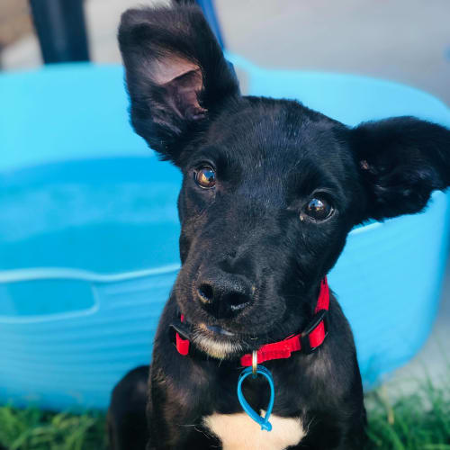 Ted 