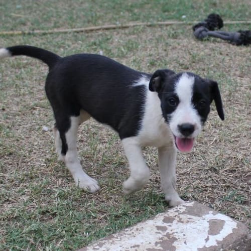 Evita