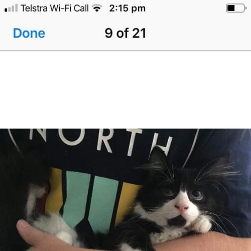 Tux