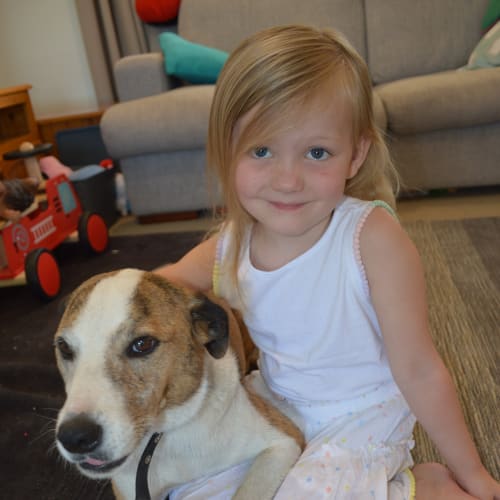 Pippa ~  Border Collie x (on trial 10/3/19)
