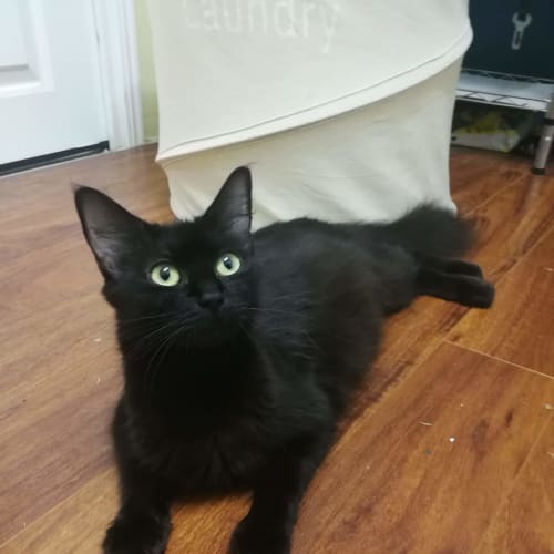 Sabrina